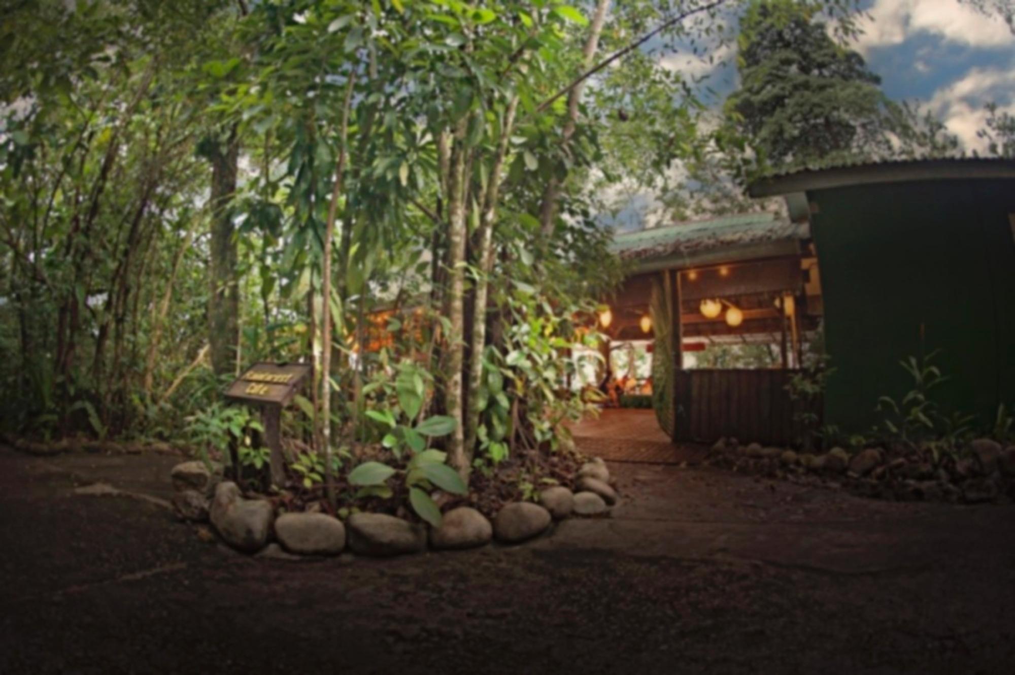 珀麦雨林度假酒店 山都望 外观 照片