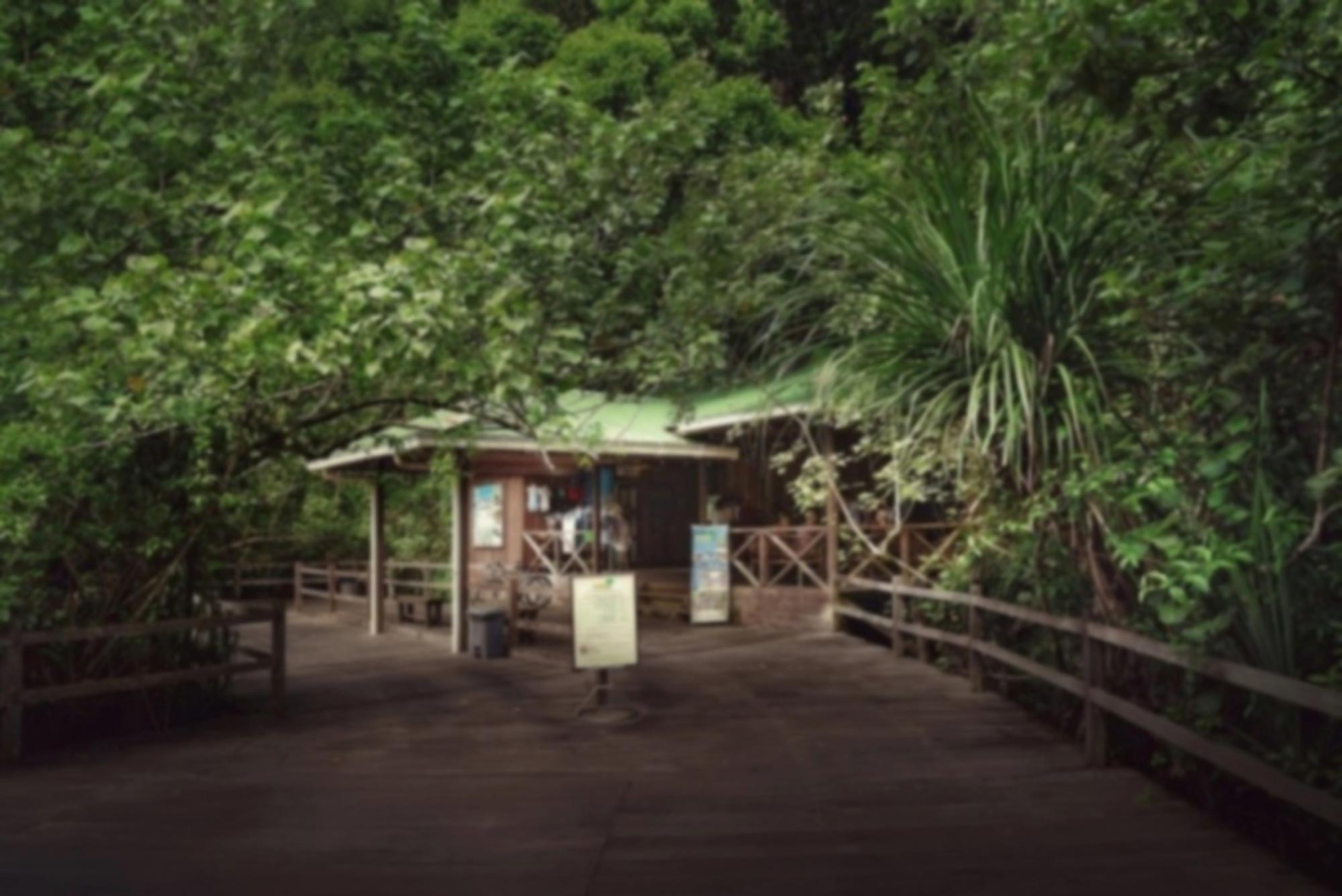 珀麦雨林度假酒店 山都望 外观 照片